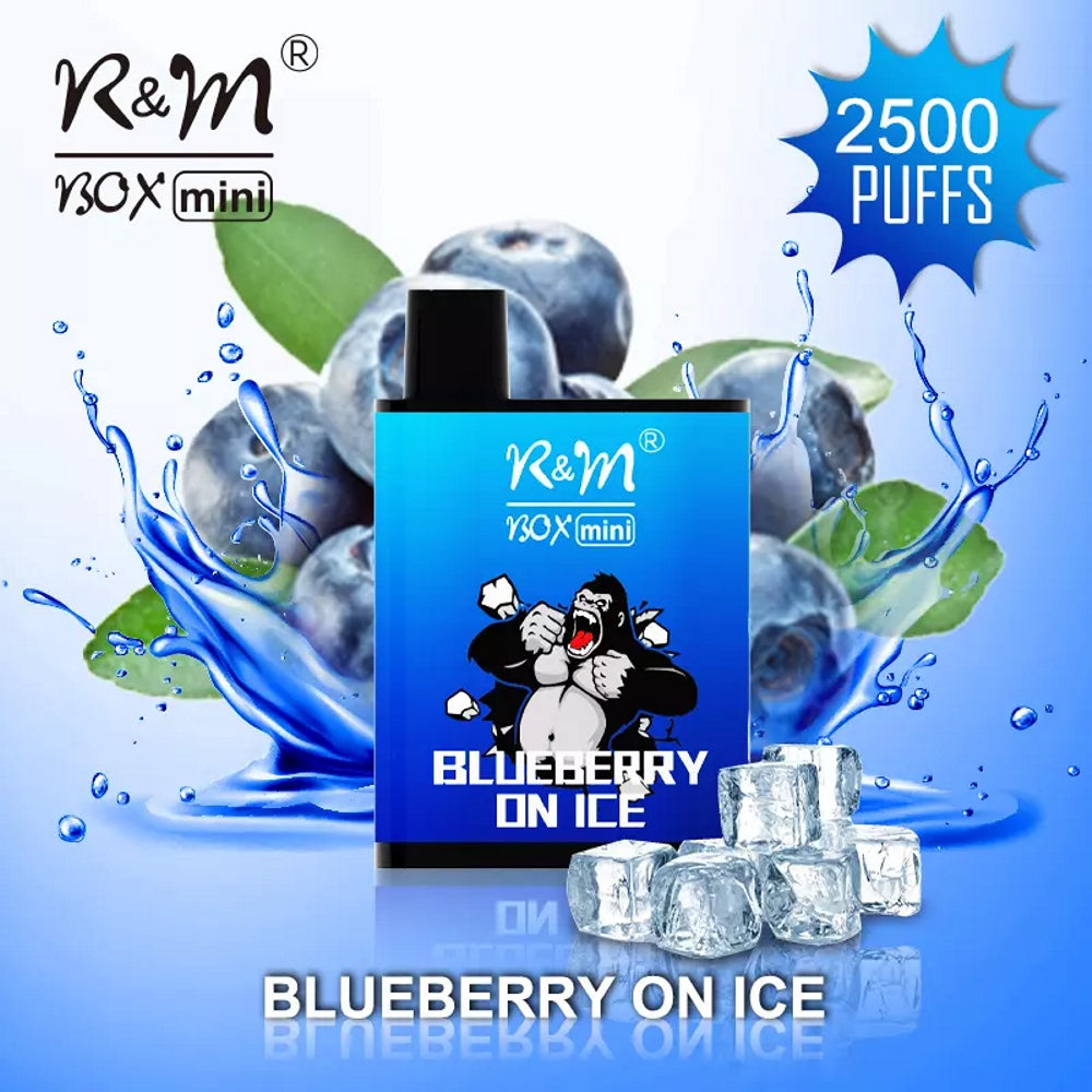 2500 Puffs Mini Disposable Vape 7ml E-Liquid - Blueberry On Ice